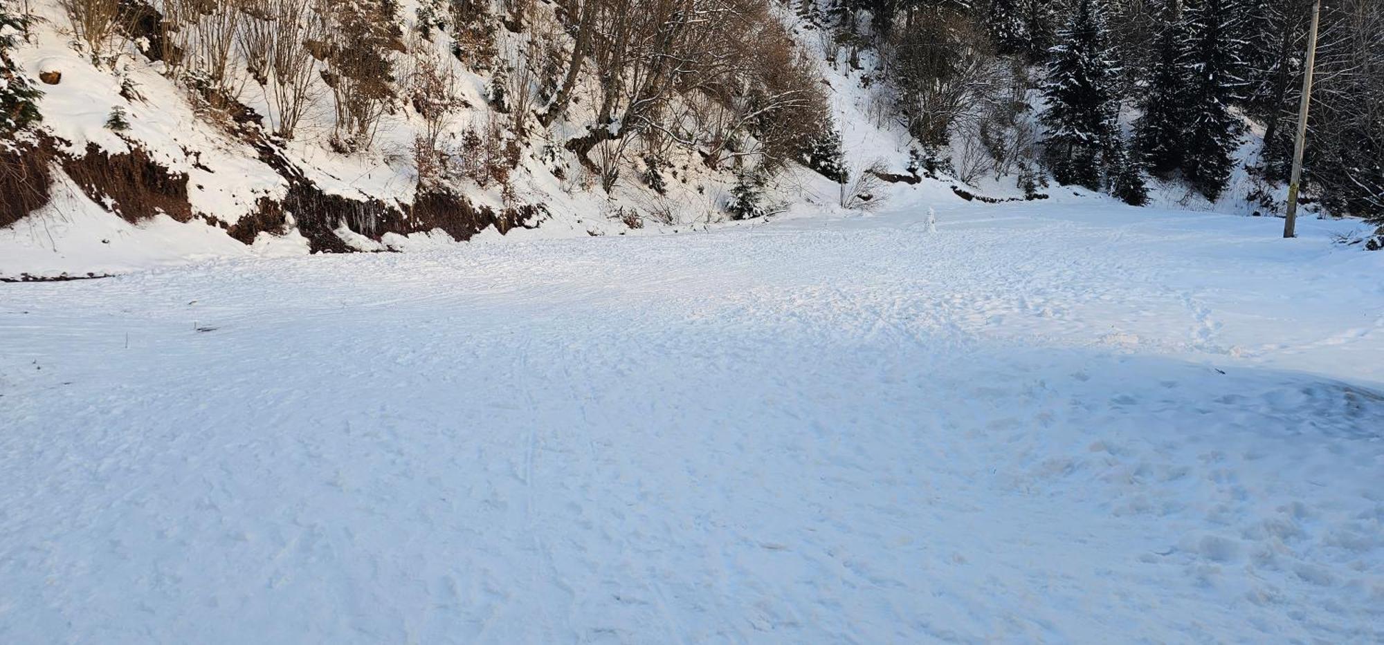 Cabana Din Vale Arieseni Apuseni Buitenkant foto