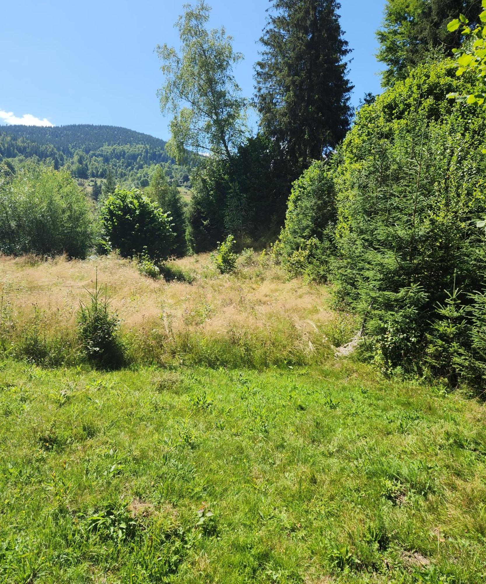 Cabana Din Vale Arieseni Apuseni Buitenkant foto